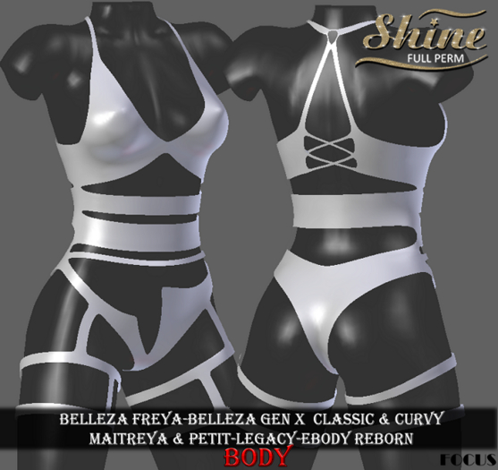 [SHINE FULL PERM] BODY FOCUS