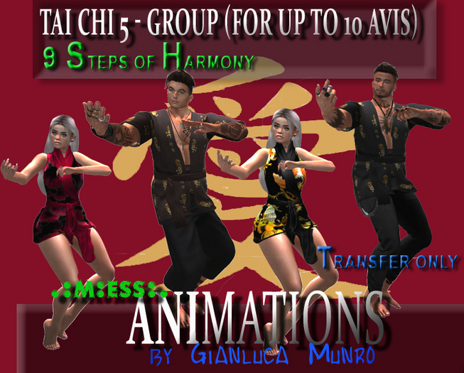 Sales Box Tai Chi 5 Group  transfer v1.0