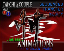TAI CHI ANIMATION "TAI CHI 4" COUPLE ANIMATION