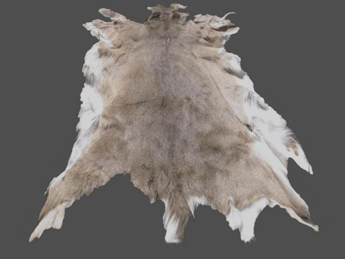 House Deco Animal Rug 5 Styles Fatpack 1 NEW !!