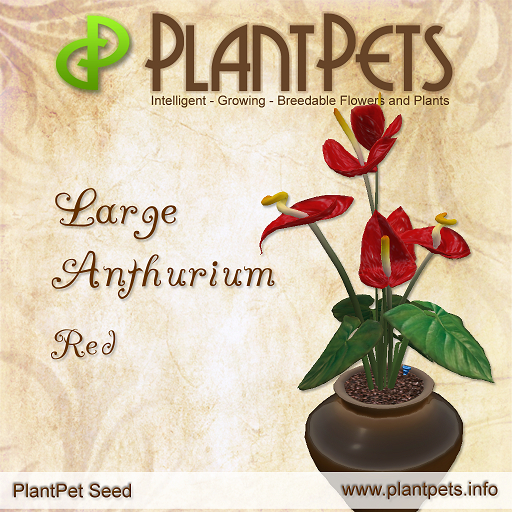 PlantPet Seed [Large Anthurium *Red*]