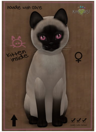 KittyCatS Box - Siamese - Seal (Female) Fire