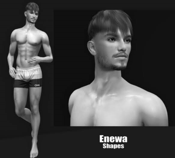 Enewa . Shape 001 . Lelutka Quinn Evo(X) . DEMO
