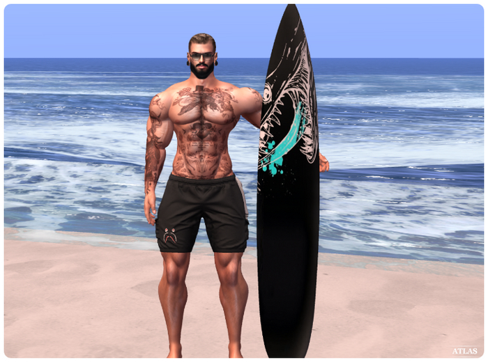 *ATLAS* Surfboard Pose 45