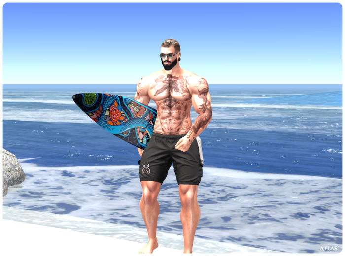*ATLAS*  Surfboard Pose 46