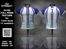 4160 FULL PERM TEXTURE for T-Shirt Equip 11 numbers
