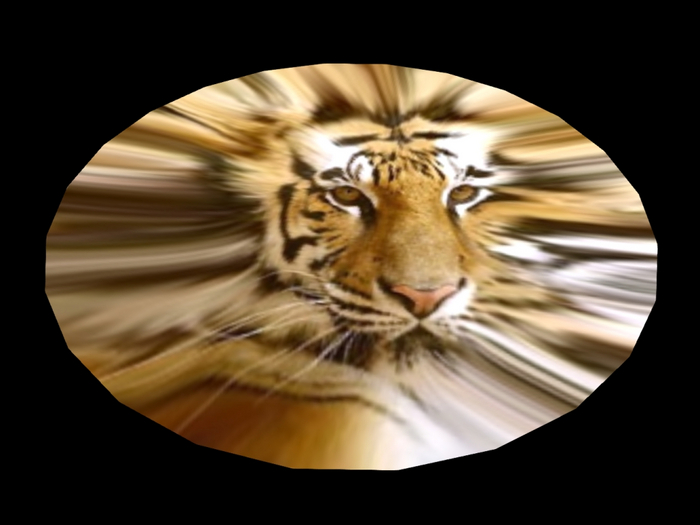 * Tiger * Modern Art Rug !!Deco Special Edition!! Fatpack