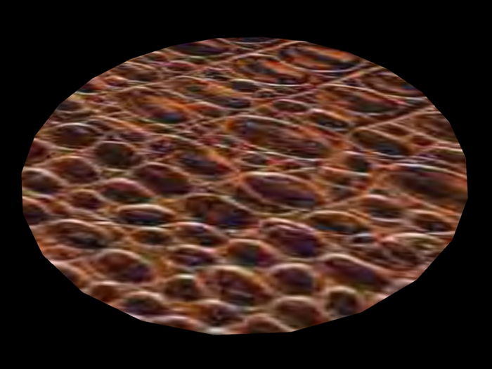 * Snake * Modern Art Rug !!Deco Special Edition!! Fatpack