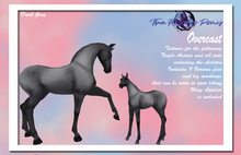 .:TFP:. [TEEGLE] Overcast