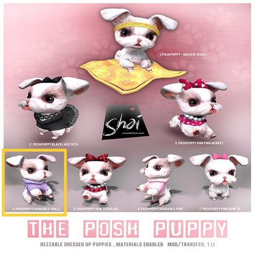*Shai*  The Posh Puppy Huggable - Violet (Arm Hold)