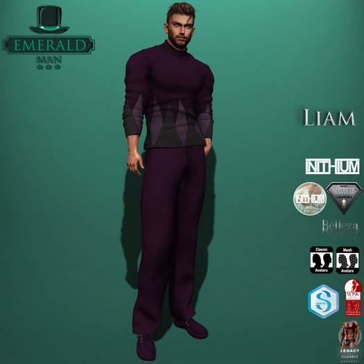 Liam Outfit Purple