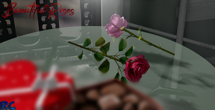 {RC}Valentine Beautiful  Roses