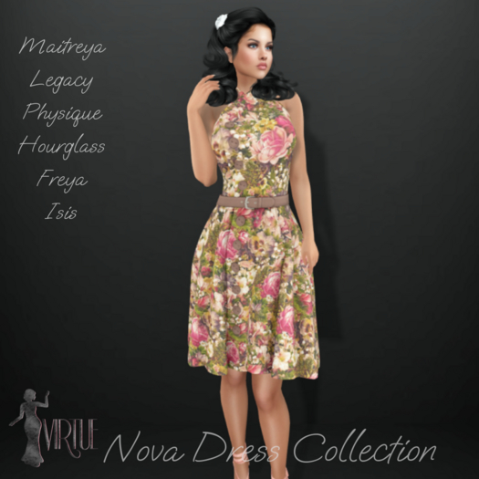 Virtue Nova Dress {Country}