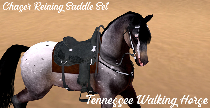 .:TFP:. Chaser Reining Saddle - TWH