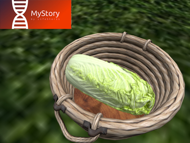 MyStory Lettuce