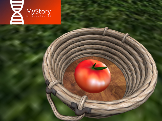 MyStory Tomato