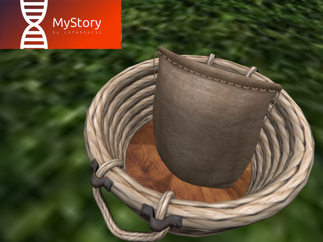 MyStory Flour