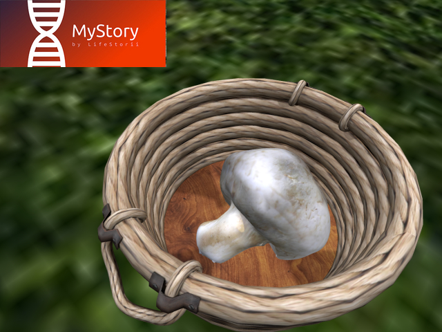 MyStory Mushroom