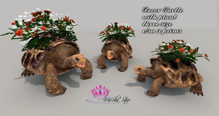 BOX-DECOR TARTLE PLANT THREE SIZE