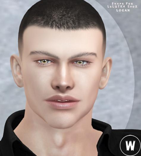 ::W::#024 SHAPE for LeLUTKA LOGAN  Head 3.1