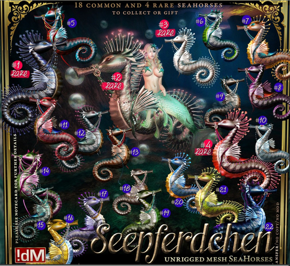 16 !dM Seepferdchen "Treasure Hunter" **ANGEL FISH** (BOX)