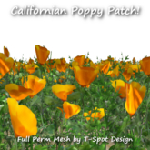 T-Spot Mesh - California Poppy Patch - FP - LI=1.4