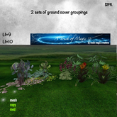 2 sets of ground cover groupings box LI=19