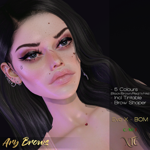 -XTC- Ary Brows [EvoX-BoM]