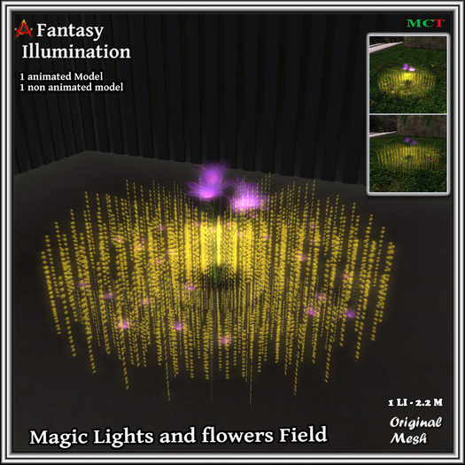 Lights and flowers Field 