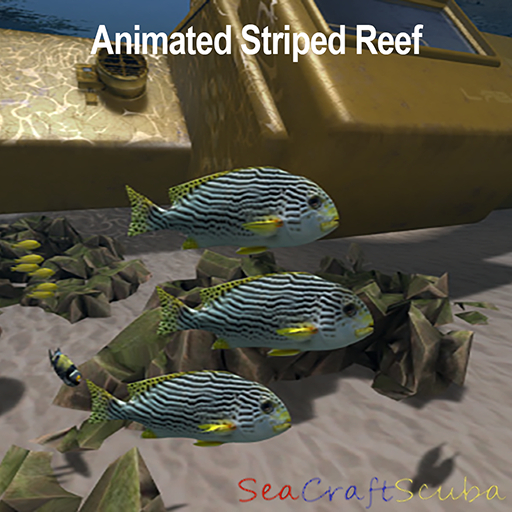 Striped Reef Fish Shoal Animated