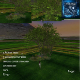 3 Acacia trees with ground cover grouping set.Box LI=47