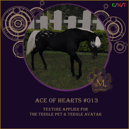 *M* Teegle ace of hearts 013
