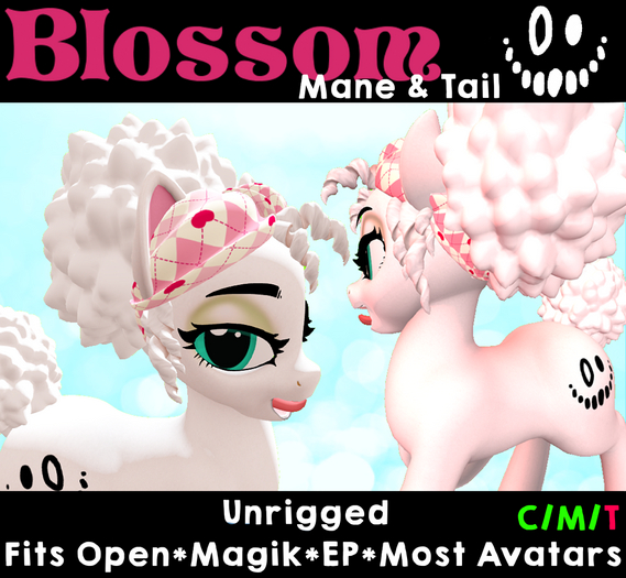 [DoxBox]Blossom Mane and Tail