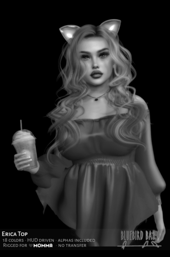 {bb} Erica Top DEMO {ADD}