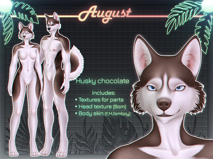 [• AUGUST •] - Husky Espen (chocolate)