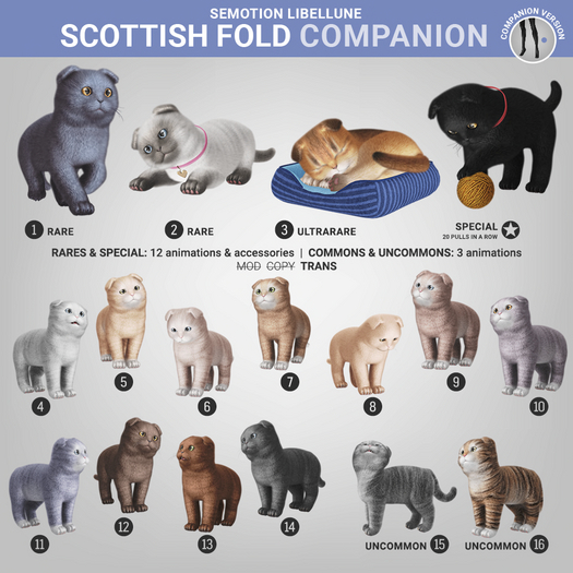 SEmotion Libellune Scottish Fold Companion COMMON 08