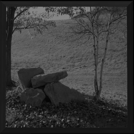 Nymphoto - The Site  (Boxed)