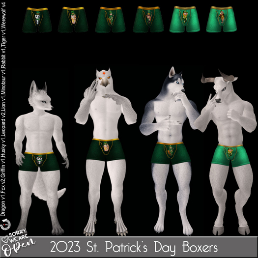 SWO 2023 St. Patrick's Day Boxers for Jomo Male Avatars