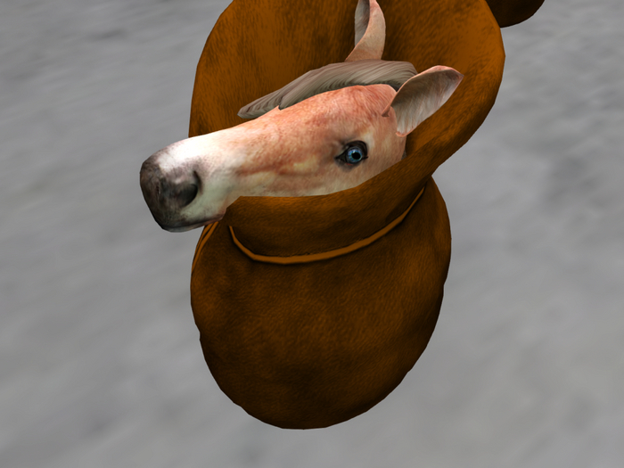 WK Miniature Mustang (Male)