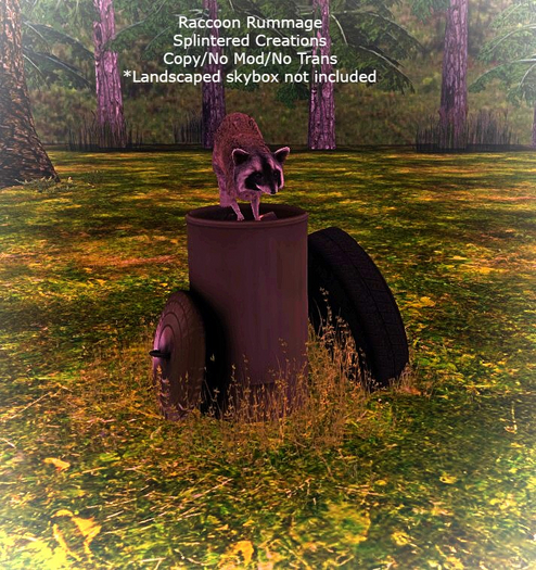 SC: Raccoon Rummage Boxed