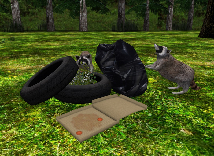 SC: Raccoon Feast or Famine Boxed