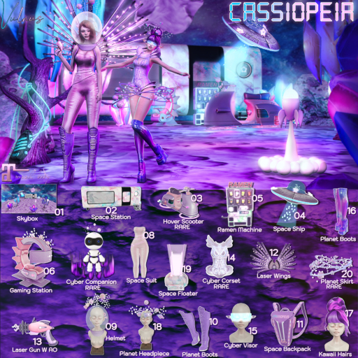 07. Cassiopeia Cyber Companion RARE