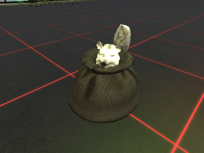 WK Dire Wolf (Female)