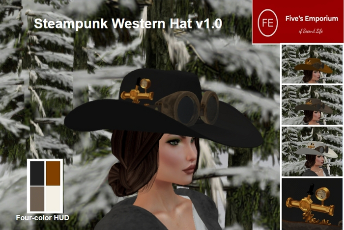 FE-Steampunk Western Hat 