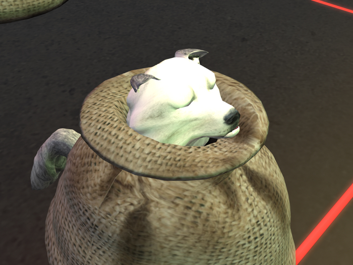 WK Gray Wolf (Female)