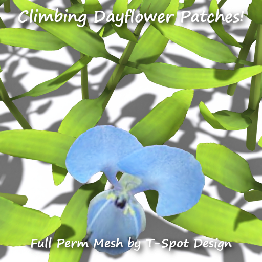 T-Spot Mesh - Climbing Dayflower (Commelina diffusa) - FP - LI=0.5-1.5