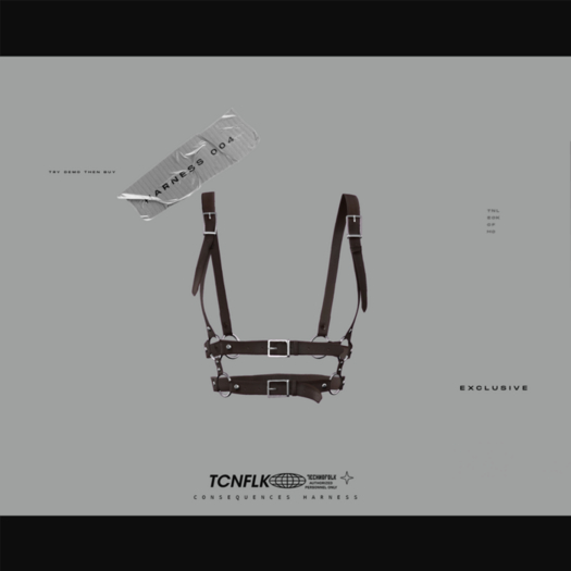 TECHNOFOLK_Consequences Top Harness_004.