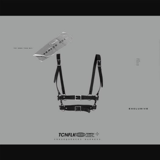 TECHNOFOLK_Consequences Top Harness_001.