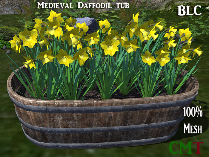 BLC Medieval Daffodil tub