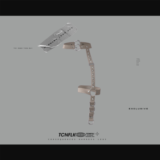 TECHNOFOLK_Consequences Leg Harness_003.